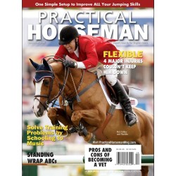 Practical Horseman