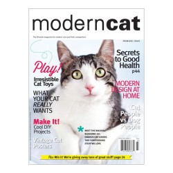 Modern Cat Magazine Subscription