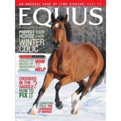 Equus