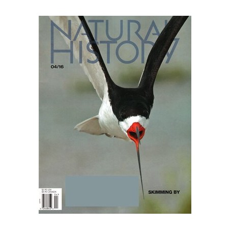 Natural History