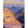 Cobblestone