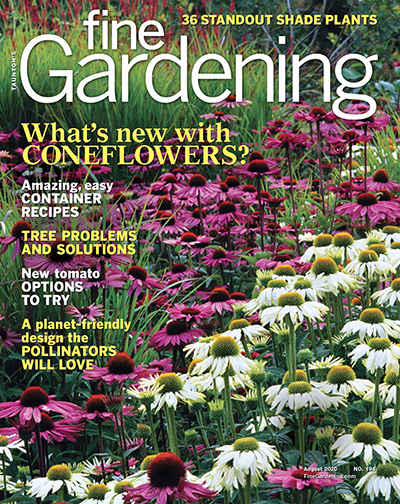 6 Beautiful Pollinator Container-Garden Designs - FineGardening