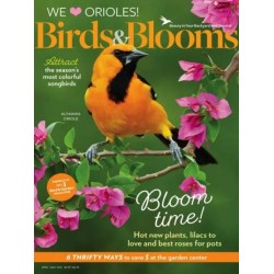 Birds & Blooms