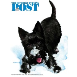 Saturday Evening Post Magazine Subscription - truemagazines.com MagazineSubscriptions