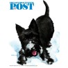 Saturday Evening Post Magazine Subscription - truemagazines.com MagazineSubscriptions