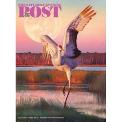Saturday Evening Post Magazine Subscription