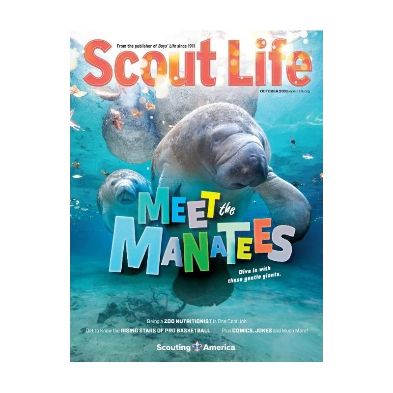 Boys Life Magazine Subscription