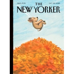 New Yorker Magazine Subscription