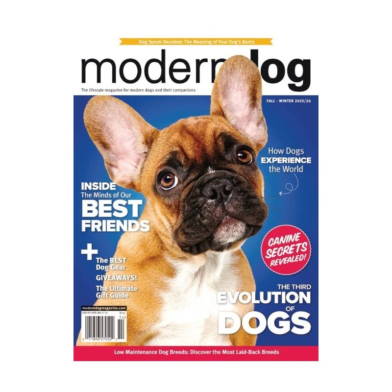 Modern Dog Magazine